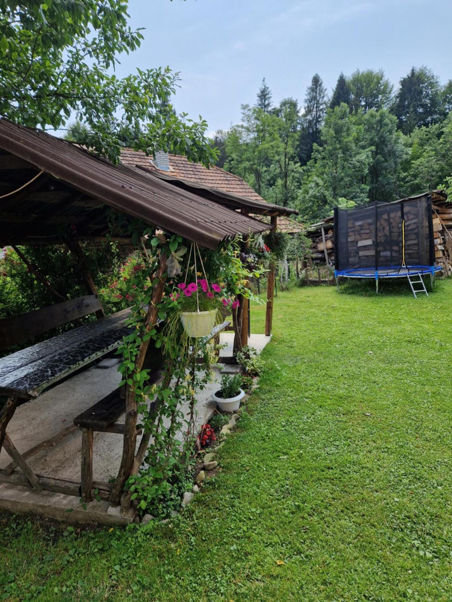 У Дядька Guest House Pilipets Exterior foto